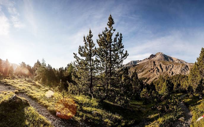 Wandern in Graubünden: Etappe 7 des Nationalpark-Panoramawegs von Zernez nach Lavin
