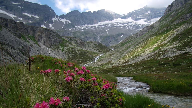 Ruhegebiet Hochgebirgs-Naturpark Zillertaler Alpen