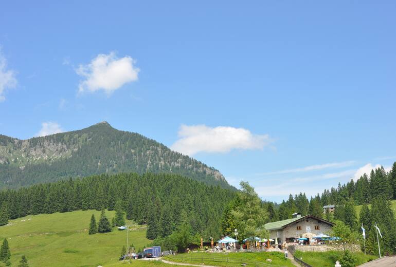 Die Albert-Link-Hütte iegt auf 1.053 m Seehöhe auf der weitläufigen Valepper Alm, gesäumt von sanft ansteigenden, bewaldeten Bergflanken. 