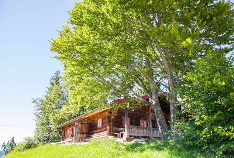 Die Winkelmoosalm-Hütte steht, wie auch die Winklmooshütte, auf der Winkelmoosalm, idyllisch in den Chiemgauer Bergen an der deutsch-österreichischen Grenze in Bayern. 