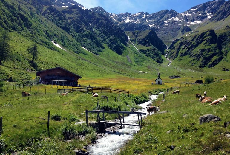 Gölbnerblickhütte im Kristeinertal bei Anras