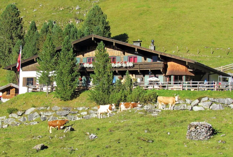 Hüllensteinhütte: Sommer