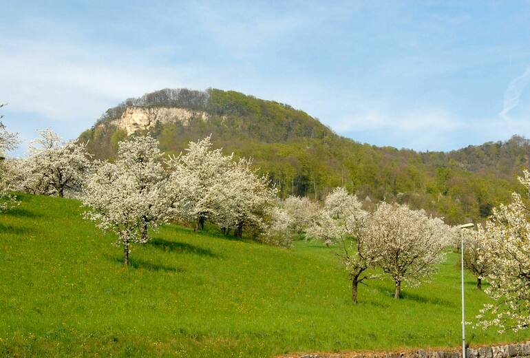 Sissacher Fluh