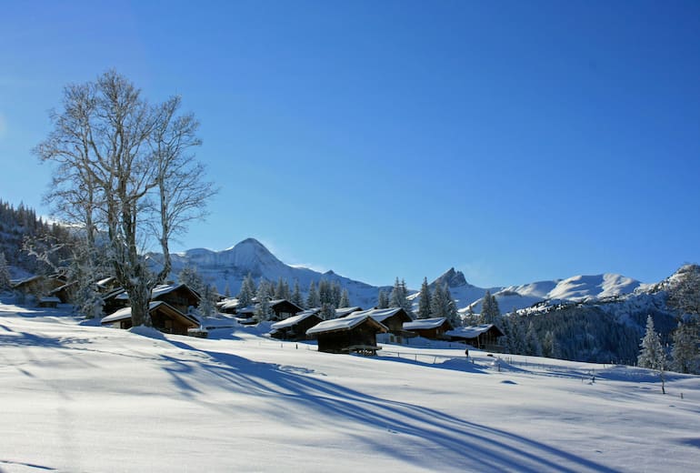 Winterlandschaft bei Axalp