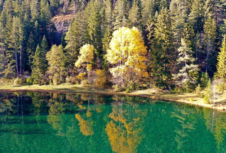 Das Naturjuwel Fernsteinsee im Herbst