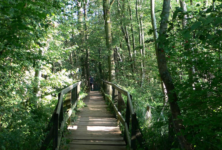 Stegbrücken überqueren den Pommerbach