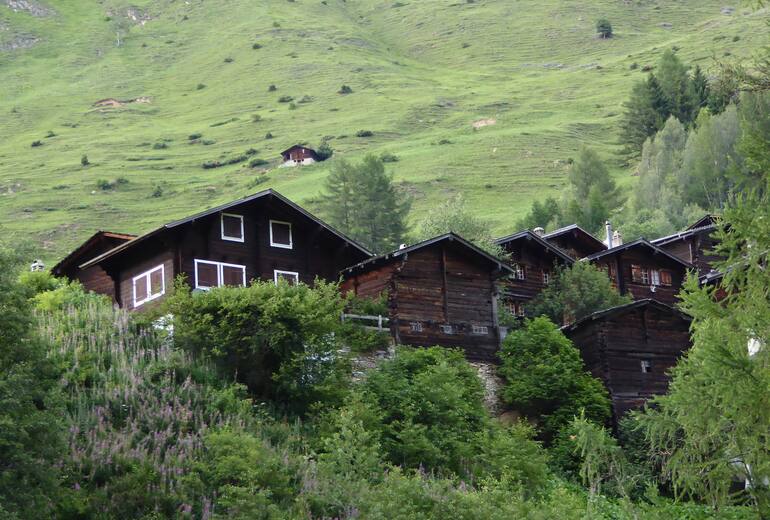 Selskab USA Borger ▷ Wandern: Fäld - Alpe Devero - 6:00 h - 12 km - Bergwelten