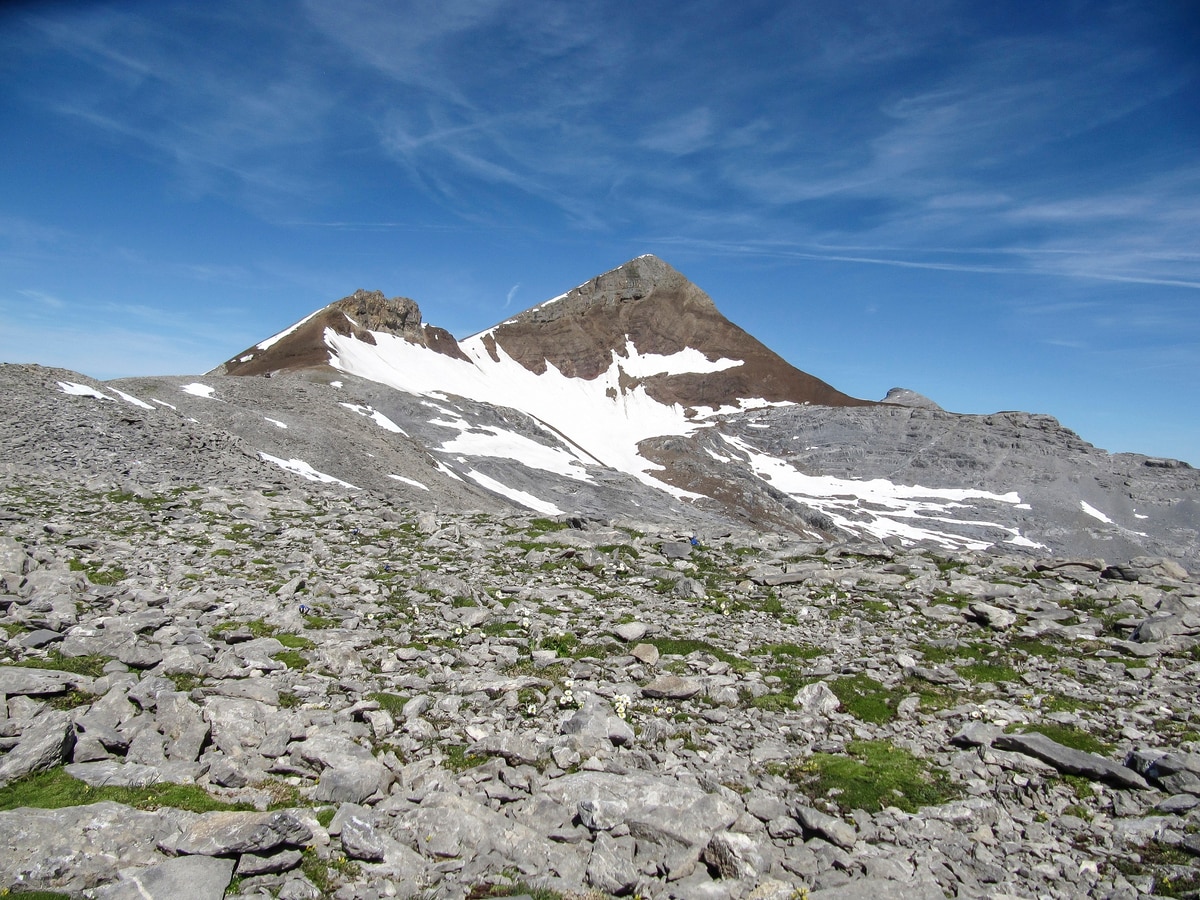 Berg- und Hochtouren: Uri Rotstock - 14km - Bergwelten